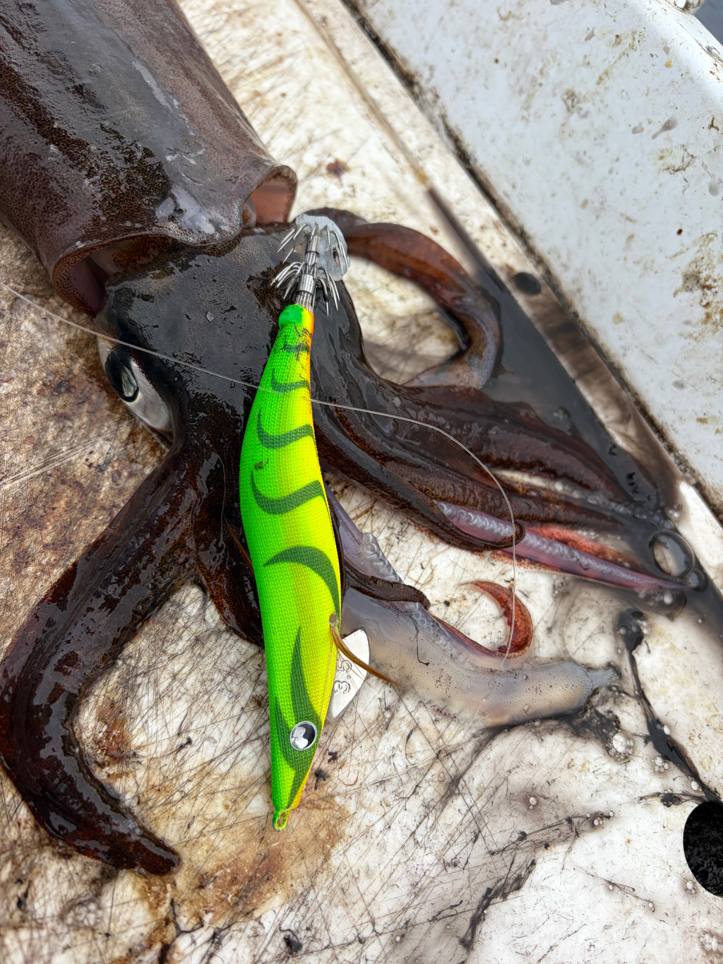 Squid jig